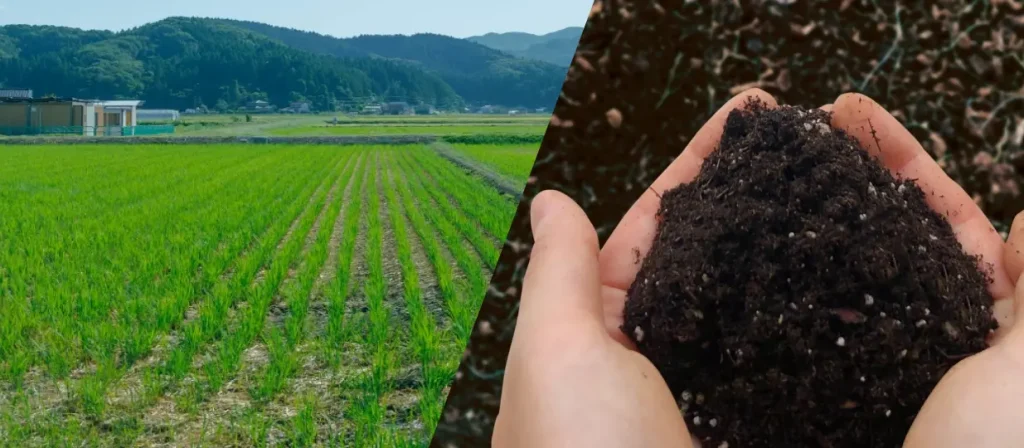 畑と土を持つ両手